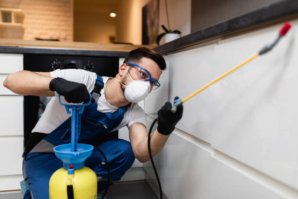 Best Emergency Pest Control  in Latham, NY