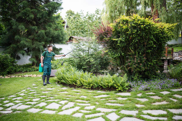 Best Best Pest Control Companies  in Latham, NY