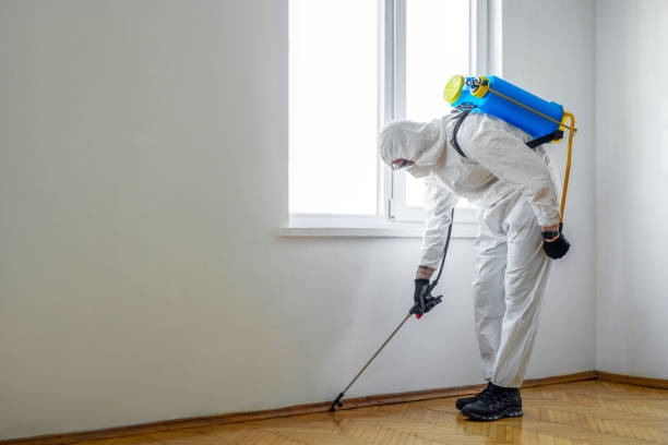 Best Pest Prevention Services  in Latham, NY