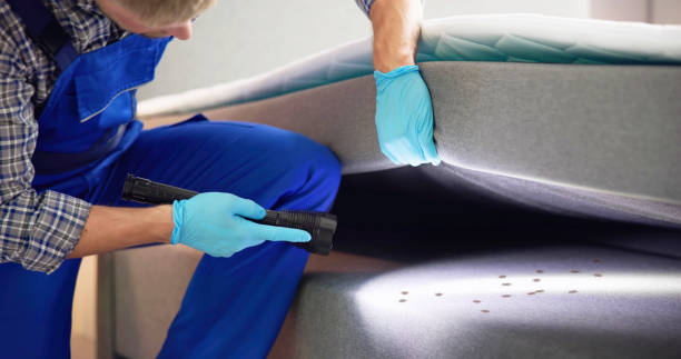 Best Termite Control Services  in Latham, NY