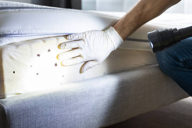 Pest Control Cost in Latham, NY