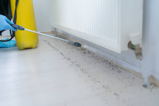 Best Rat Extermination Near Me  in Latham, NY