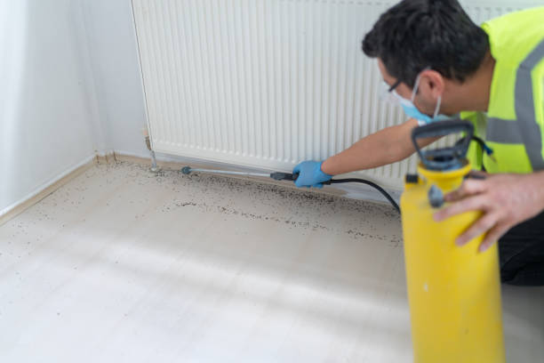 Best Pest Removal Services  in Latham, NY