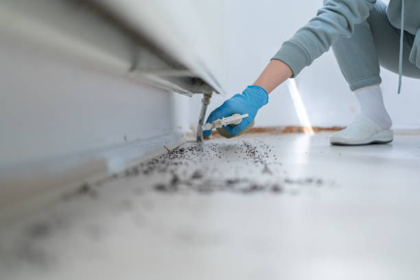 Best Pest Prevention Services  in Latham, NY